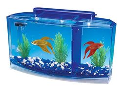 Penn-Plax Triple Aquarium pour Betta Deluxe pour Aquariophilie