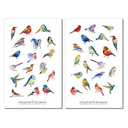 Set di adesivi sugli uccelli - Adesivo per diario, adesivo per planner, natura, adesivo colorato, giardino, planner dei ricordi, uccello