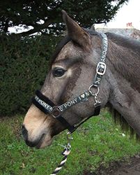 Rhinegold Love My Pony Ensemble Collier et Corde, doré, Full
