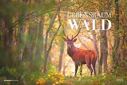 Lebensraum Wald 2024 - Picture Calendar 49.5 x 33 cm - Animals and Plants in Our Native Forests - Wall Calendar - Wall Planner - Animal Calendar