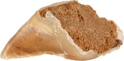Trixie Zoccolo da Masticare con ripieno di Carne, 115 g, 25 Pezzi