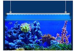 Eheim Rampe Power LED + marineblauw hybride verlichting voor aquaria 1349 mm 44,3 W