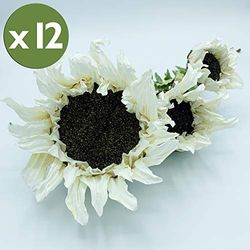 Pack de 12 ramos de girasol de 56 cm con 3 flores en color blanco