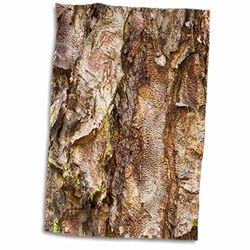 3dRose River Birch Tree, Washington Arboretum, Seattle-Us48 Dgu0232-Darrell Gulin Towel, White, 15 x 22-Inch