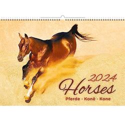 Kalpa Horse Calendar 2024, Captivating Images in Photo Calendar 2024 for Horse Lovers in 12-Month Wall Calendar (31.5 x 45 cm) - Animal Calendar in Landscape Layout