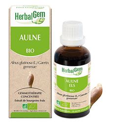 HERBALGEM - Macérât-Mère - Aulne Bio - Complément Alimentaire Gemmothérapie Concentrée - Extrait De Bourgeon Frais - Pour Défenses Naturelles & Circulation - Vegan - 30 ml