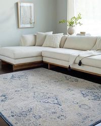 Livabliss Sicily Tapis Vintage - Tapis de Couloir, Salon, Salle à Manger, Chambre, Cuisine, Entrée - Boheme Chic, Design Traditionnel Oriental, Coloré Poil Court 200x275 cm - Bleu, Gris, Ivoire, Ambre