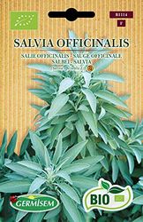 Germisem Bio Graines Sauge officinale SALVIA OFFICINALIS