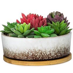 ARTKETTY Pots de Fleurs pour Plantes Grasses – Grand Pot de Fleurs avec Drainage Peu Profond avec Plateau – Pot de Fleurs Rond en céramique pour Plantes d'intérieur et d'extérieur (Blanc)