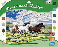 Mammut Spiel & Geschenk 109026 - Schilderen op nummer - paarden in galop, ca. 40 x 30 cm