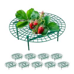 Relaxdays Soporte para Fresas, Set de 10, Protección contra Caracoles, Plástico, Rejilla Anti Putrefacción y Moho, Verde, 10 x 30 cm