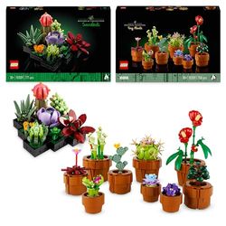 Bundle of LEGO 10309 Icons Les Succulentes: Plantes Artificielles + LEGO 10329 Icons Les Plantes Miniatures, Set Collection Botanique avec Fleurs Artificielles