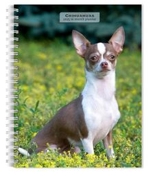 Chihuahuas | 2025 6 x 7.75 Inch Spiral-Bound Wire-O Weekly Engagement Planner Calendar | New Full-Color Image Every Week | BrownTrout | Animals Small Dog Breeds
