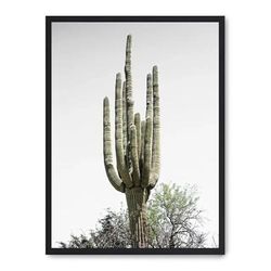 Cuadro cactus saguaro i_FASE5