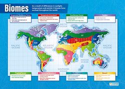 Daydream Education Biomes | Geografía pósteres | Papel brillante de 850 mm x 594 mm (A1) | Geografía aulas | Carteles educativos