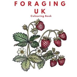 Foraging UK: Colouring Book