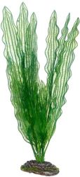 Hobby 51579 Aponogeton, 39 cm