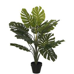 DRW Lot de 4 Plantes artificielles de la côte d'Adan en Vert 70 cm