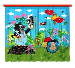 AG Design FCSXXL 7023 Rideau, Light, 100% PES, Multicolore, 280 x 245 cm