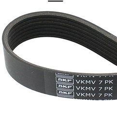 SKF VKMV 7PK1115 Courroie Multi-V