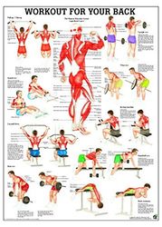 Ruediger Anatomy PO79e Workout For Your Back Board 50 x 70 cm