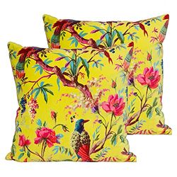 Paoletti Cojines llenos de Plumas paraíso (Paquete Doble), Acacia, 50 x 50cm, 2