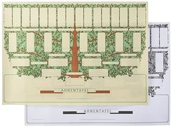 RNK 2803 - Pannello di visualizzazione per gioielli, formato DIN A3 orizzontale, 190 g/m², Albero piccolo" per 5 generazioni, 1 pezzo