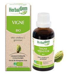 HERBALGEM - Macérât-Mère - Vigne Bio - Complément Alimentaire Gemmothérapie Concentrée - Extrait De Bourgeon Frais - Santé Circulatoire, Drainage, Antioxidant, Santé Peau - Vegan - 30 ml
