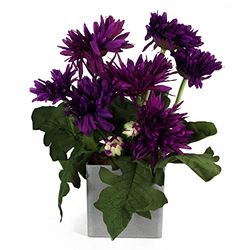 Leaf Marguerite Artificielle en Pot, Violet, 33 cm