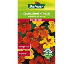 Dehner bloemenzaad, capuchonpers, Rankende Meng", 5-pack (5 x 10 g)