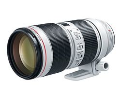 Canon EF 70-200MM F/ 2.8L IS III USM - Objetivo