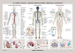 De Agostini 9788869852756 Wall Paper