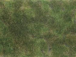 Noch- Revêtement de Sol Vert Olive, 07251, Multicolore