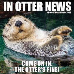 In Otter News 2025 Wall