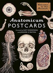 Big Picture Press Anatomicum Postcard Box