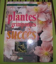 Les Plantes grimpantes avec succès
