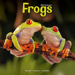 Frogs Calendar 2024 | Square Animal Wall Calendar - 16 Month