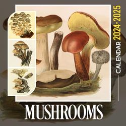 Mushrooms Calendar 2024: Relax Calendar 12 Month 2024 Monthly/Weekly, Bonus 6 Months 2025 Thick Sturdy Paper Giftable 2024 Calendar Unique Christmas Gift