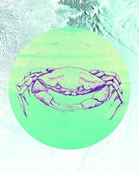 Komar Muurafbeelding | Crab Sea | Poster, foto, woonkamer, slaapkamer, decoratie, kunstdruk | zonder lijst | P080C-40x50 | Maat: 40 x 50 cm (breedte x hoogte)