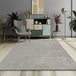 Mia´s mattor Emely modern mjuk kort lugg (17 mm) vardagsrumsmatta – silver – 160 x 230 cm