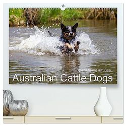 Spaziergang am See Australian Cattle Dogs (hochwertiger Premium Wandkalender 2025 DIN A2 quer), Kunstdruck in Hochglanz: Badespaß am See mit sportlichen Australian Cattle Dogs