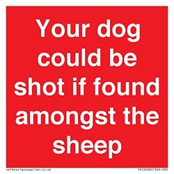 Your dog could be shot if found amongst the sheep Sign - 85x85mm - S85