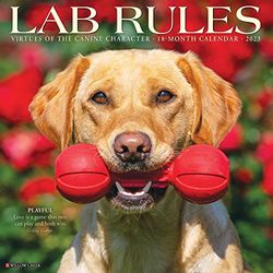 Lab Rules 2023 Wall Calendar
