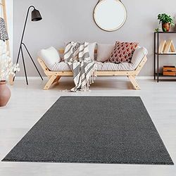Fashion4Home Tapis de salon uni - Tapis uni pour chambre d'enfant, chambre à coucher, bureau, couloir et cuisine - Tapis à poils courts gris, taille : 80 x 150 cm