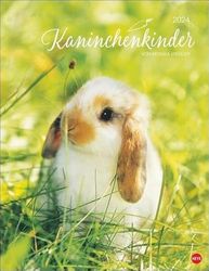 Heye in Athesia Kalenderverlag GmbH Kaninchenkinder Posterkalender 2024