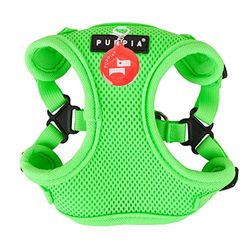 Puppia 4-punts neon hondentuigje voor kleine en middelgrote honden, licht en superzacht, in vele kleuren, anti-trektuigje voor honden, groen, L