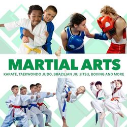 Martial Arts for Kids: A Part of the Mini Movers Sports Series