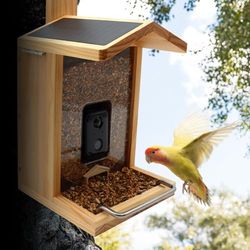 Croci Mangeoire à oiseaux Wifi – avec panneau solaire, batterie et caméra HD 1080p, application intelligente avec reconnaissance des espèces, photos et vidéos, capteurs de mouvement pour volailles, en