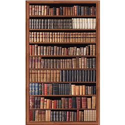 PLAGE INTISSE Panoramic-BIBLIOTHEQUE, Paper, Brown, 150 x 250 cm