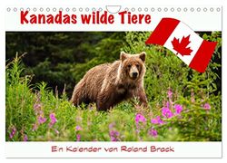 Kanadas Wilde Tiere (Wandkalender 2025 DIN A4 quer), CALVENDO Monatskalender: Die wilden Tiere Kanadas vom mächtigen Grizzlybär bis zur filigranen Libelle